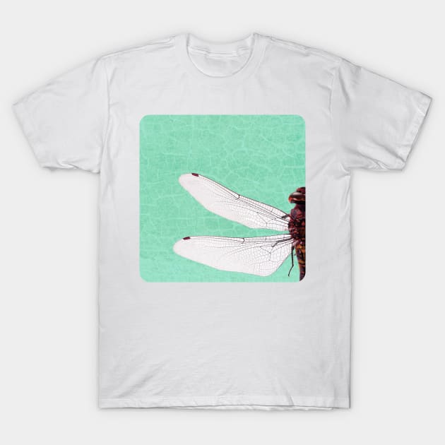 DRAGONFLY VIb T-Shirt by PiaS